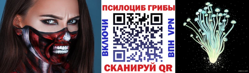 Галлюциногенные грибы мицелий  shop телеграм  Сатка  цена наркотик 
