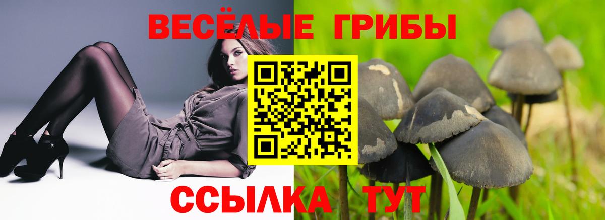 Псилоцибиновые грибы Сатка